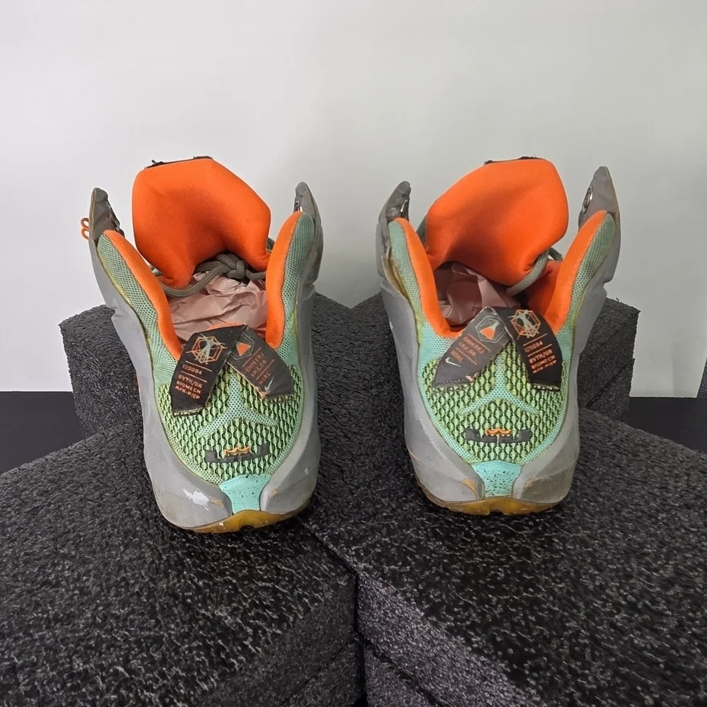 Nike Shoes LeBron 12 XII 